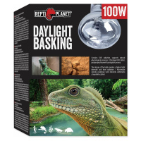 Žárovka Repti Planet Daylight Basking Spot 100W