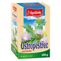 Apotheke Ostropestřec mariánský plod sypaný čaj 150 g