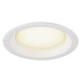 BIG WHITE (SLV) DOWNLIGHT V 150 lehce zapuštěný kryt bílá 1007482