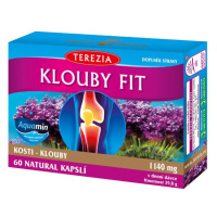 TEREZIA Klouby fit 60 kapslí