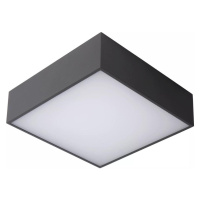 Lucide Lucide 27816/10/29 - LED Koupelnové stropní svítidlo ROXANE LED/12W/230V IP54