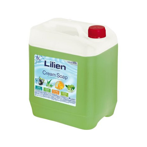 LILIEN Tekuté mýdlo kanystr Aloe Vera 5 l