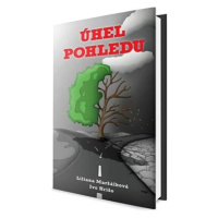 Úhel pohledu: aneb Pojďte si se mnou zalétat