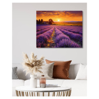 Obrazy na stěnu - Západ slunce nad levandulovým lánem Rozměr: 40x50 cm, Rámování: vypnuté plátno