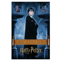 Umělecký tisk Harry Potter - Harry, 26.7 × 40 cm