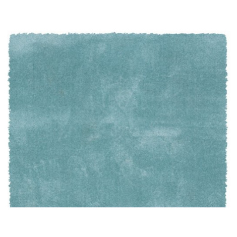 Chlupatý kusový koberec Dolce Vita 01TTT | světle-modrý Typ: 120x170 cm