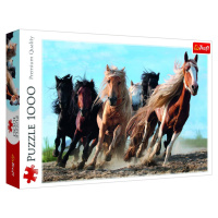 Trefl Puzzle Cválající koně / 1000 dílků - Trefl