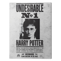 Obraz na plátně Harry Potter - Undesirable No.1, - 60x80 cm
