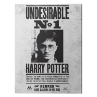 Obraz na plátně Harry Potter - Undesirable No.1, 2 - 60×80 cm