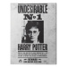 Obraz na plátně Harry Potter - Undesirable No.1, 2 - 60×80 cm