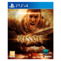 Risen (PS4)