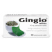 GINGIO 40MG TBL FLM 90