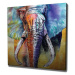 Wallity Obraz na plátně Elephant ethno KC306 50x70 cm