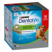 Purina Dentalife pamlsky 3 x balení - 2 + 1 zdarma - Dentalife pro velké psy (25-40 kg) 3 x 36 t