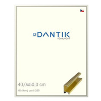 DANTIK rámeček 40 × 50, ALU profil 7269 Zlatý lesklý sklo čiré