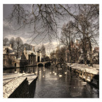 Fotografie Bruges in Christmas dress, YvetteDepaepe, 40 × 40 cm