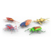 HEXBUG Real Bugs - 5 Pack