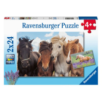 Ravensburger 051489 Fotky koní 2x24 dílků