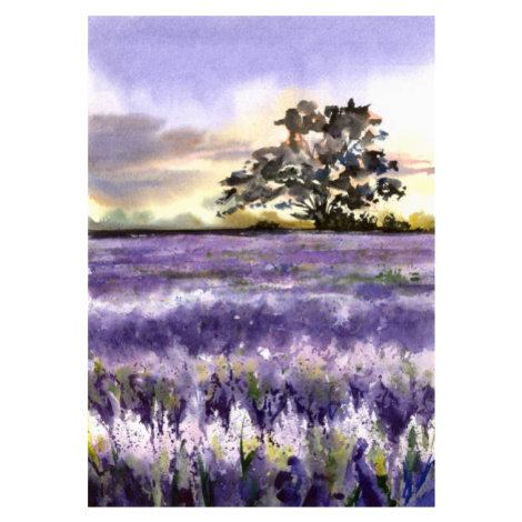 Ilustrace Lavender field and tree., InkyWater, (30 x 40 cm)