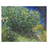 Obrazová reprodukce Lilac Bush (1889), Vincent van Gogh, 40 × 30 cm