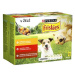 Friskies Adult s kuřetem, s hovězím a jehněčím v želé 12 x 100 g