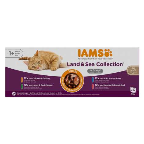 IAMS Advanced Nutrition Adult Land & Sea Mix - Výhodné balení: 96 x 85 g v omáčce