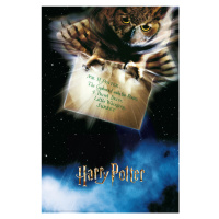 Plakát, Obraz - Harry Potter - Letter from Hogwarts, 61 × 91.5 cm