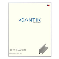 DANTIK rámeček 40 × 50, ALU profil 6030 Stříbrný matný plexi čiré