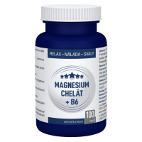 Clinical Magnesium chelát + B6 100 kapslí