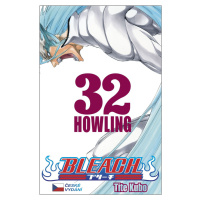 Bleach 32