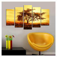 Hanah Home Vícedílný obraz Tree In The Golden Hour 110x60 cm