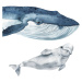DEKORACJAN Samolepky - Velryby a delfíni