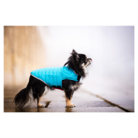 Vsepropejska Sonda oboustranná bunda pro psa Barva: Modrá, Délka zad (cm): 25, Obvod hrudníku: 3