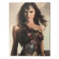 Obraz na plátně Justice League Movie - Wonder Woman, - 60x80 cm