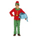 Guirca Dětský kostým - Vánoční Elf Velikost - děti: L