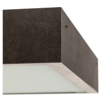 Argon Stropní světlo Tromsö, 50x50 cm, betonově šedá