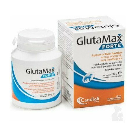 Glutamax forte 40tbl Candioli