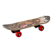 Skateboard AFRIKA 43cm