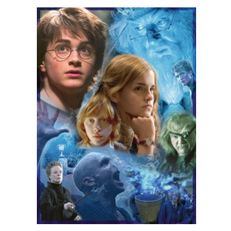RAVENSBURGER Puzzle Harry Potter v Bradavicích 500 dílků 162483