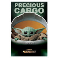 Plakát, Obraz - Star Wars: The Mandalorian - Precious Cargo (Baby Yoda), (61 x 91.5 cm)