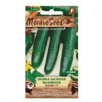 Okurka salátová SALADIN F1 skleníková (MS)