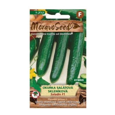 Okurka salátová SALADIN F1 skleníková (MS) MoravoSeed