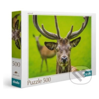 Jelen - puzzle z kategorie Zvířata