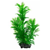 Dekorace Tetra Rostlina Green Cabomba S 15cm