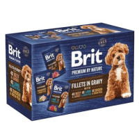 Brit Premium by Nature Dog Fillets in Gravy Multipack 12 × 85 g