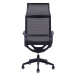 Kancelářská židle Sego SKY — síť, černá