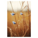 Fotografie Blue Corn Flowers, Treechild, 26.7 × 40 cm