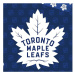 TipTrade Bavlněné povlečení 140x200 + 70x90 cm - NHL Toronto Maple Leafs Shields