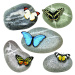 Samolepicí dekorace Butterflies on Stones, 30 x 30 cm