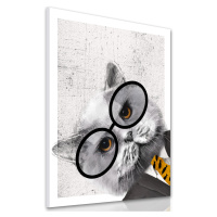 Obraz na plátně HIPSTER CAT III. různé rozměry Ludesign ludesign obrazy: 100x70 cm